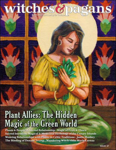 Witches&Pagans #37 Plant Allies (download) - Click Image to Close